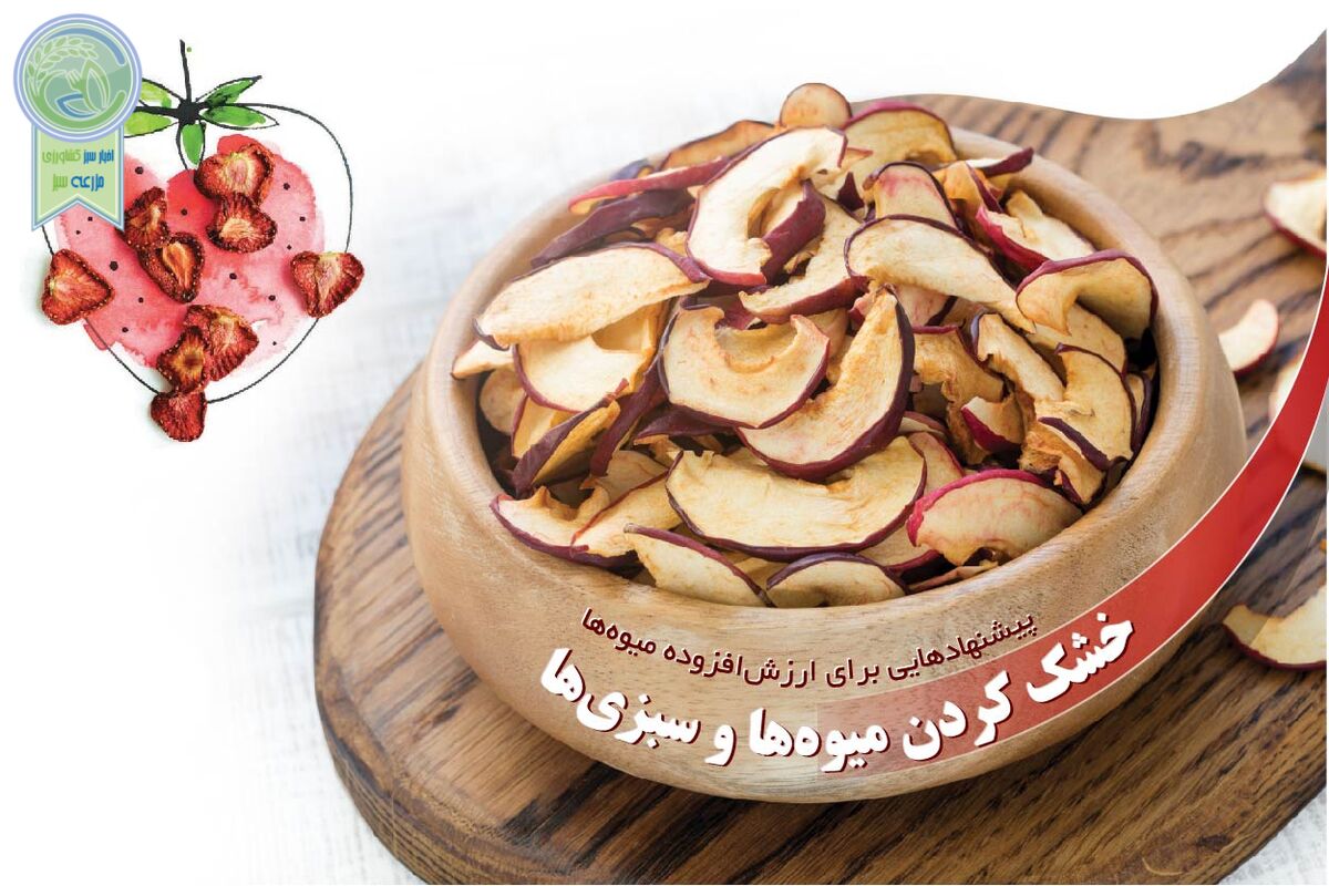 خشک کردن میوه‌ها و سبزی‌ها

