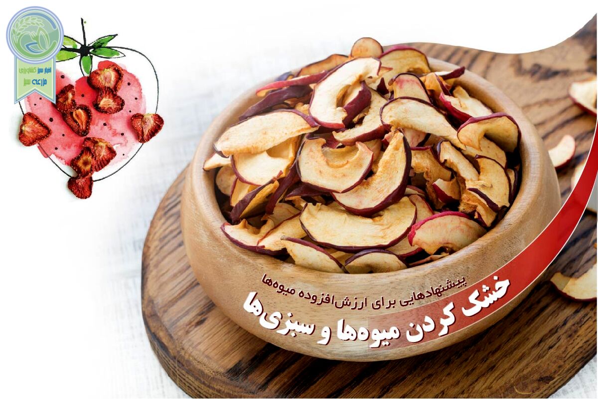 خشک کردن میوه‌ها و سبزی‌ها

