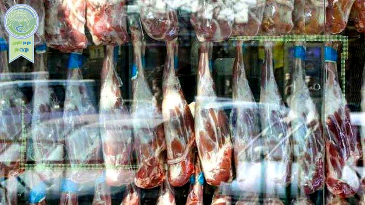 قیمت هر کیلو گوشت گوسفندی در بازار چقدر است؟
