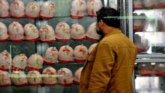 قیمت انواع مرغ در ۱۴ اردیبهشت ۱۴۰۲