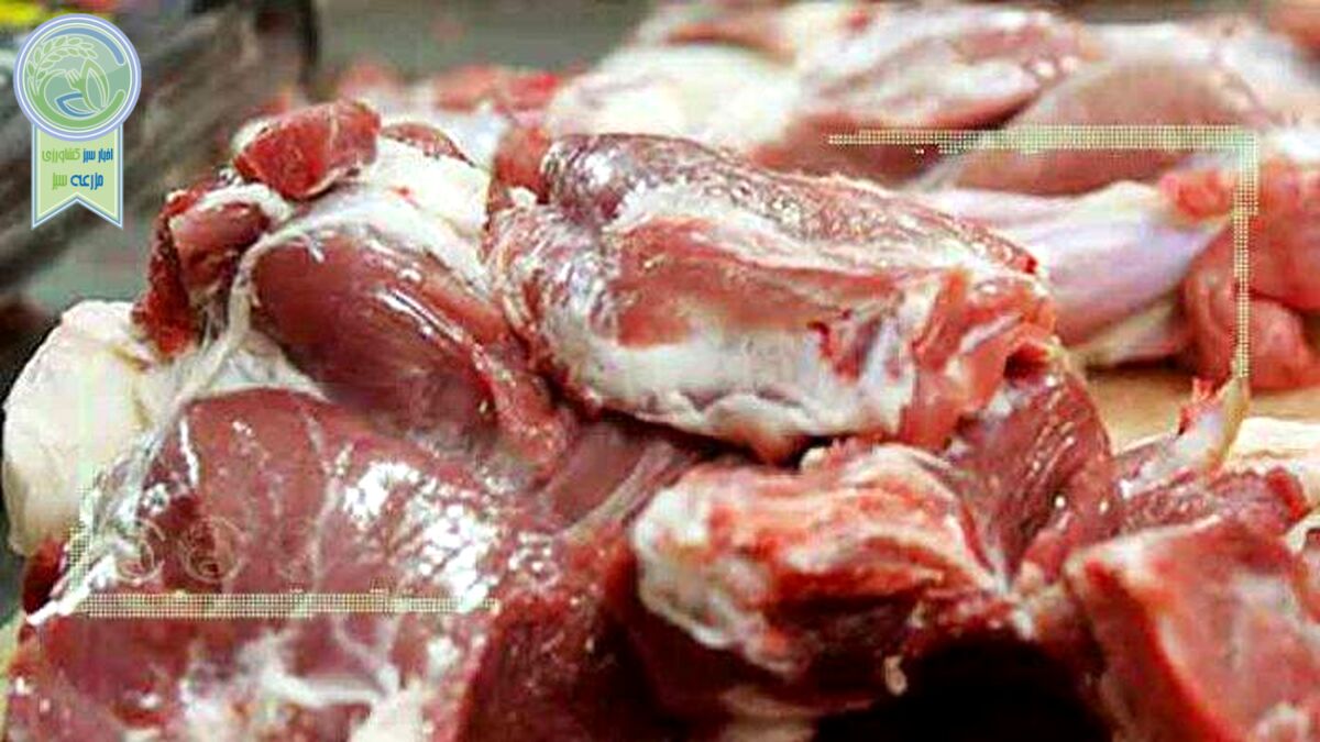 قیمت روز گوشت قرمز در ۲۰ اردیبهشت ۱۴۰۲