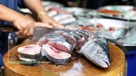 قیمت انواع ماهی ۲۰ اردیبهشت ۱۴۰۲