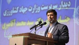 تصویب بودجه ۶ هزار میلیاردی برای بیمه محصولات کشاورزی