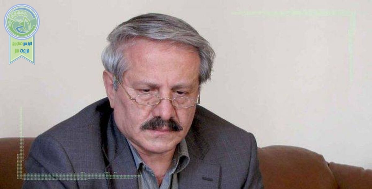 افزایش ناگزیر قیمت مرغ و تخم مرغ در نیمه دوم سال