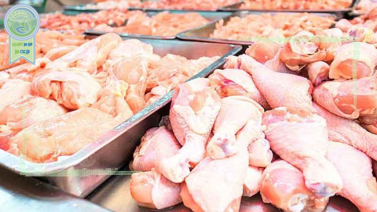 گفته‌های آقامیری از پشت پرده بالا رفتن قیمت مرغ