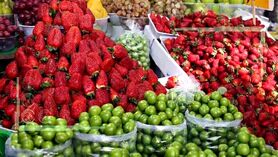 کاهش قیمت میوه از ۱۰ خرداد