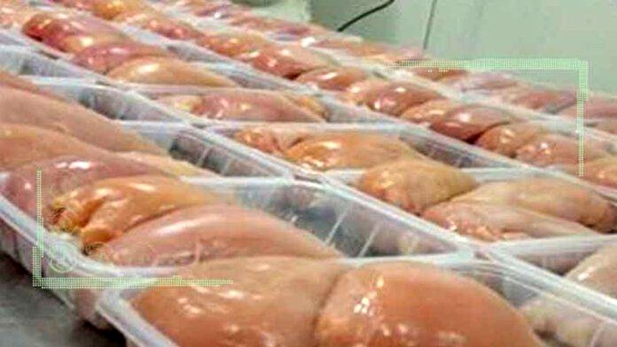 مجوزی برای واردات مرغ از بلاروس صادر نشده است