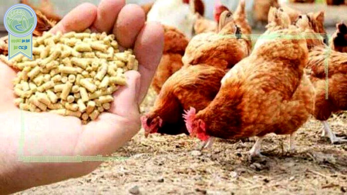 قیمت نهاده های دامی و کشاورزی ۱۱ خرداد ۱۴۰۲