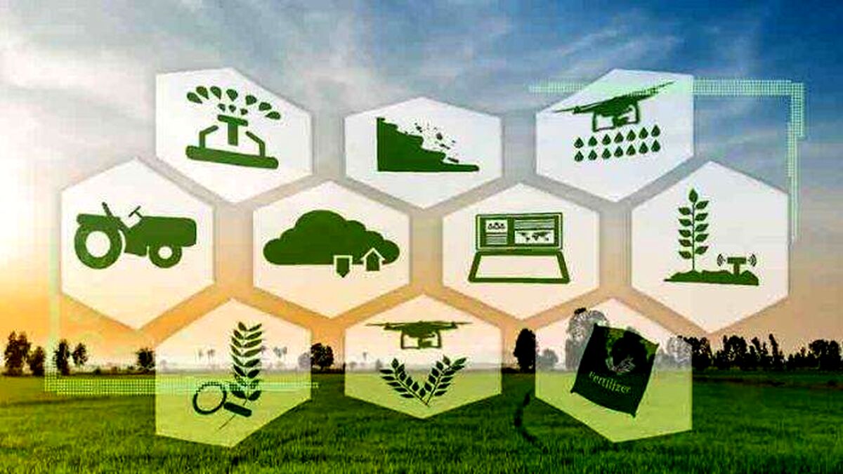 برنامه هفتم توسعه و حل قضایای پارادوکسیکال در کشاورزی ایران