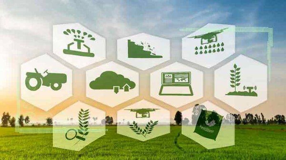 برنامه هفتم توسعه و حل قضایای پارادوکسیکال در کشاورزی ایران