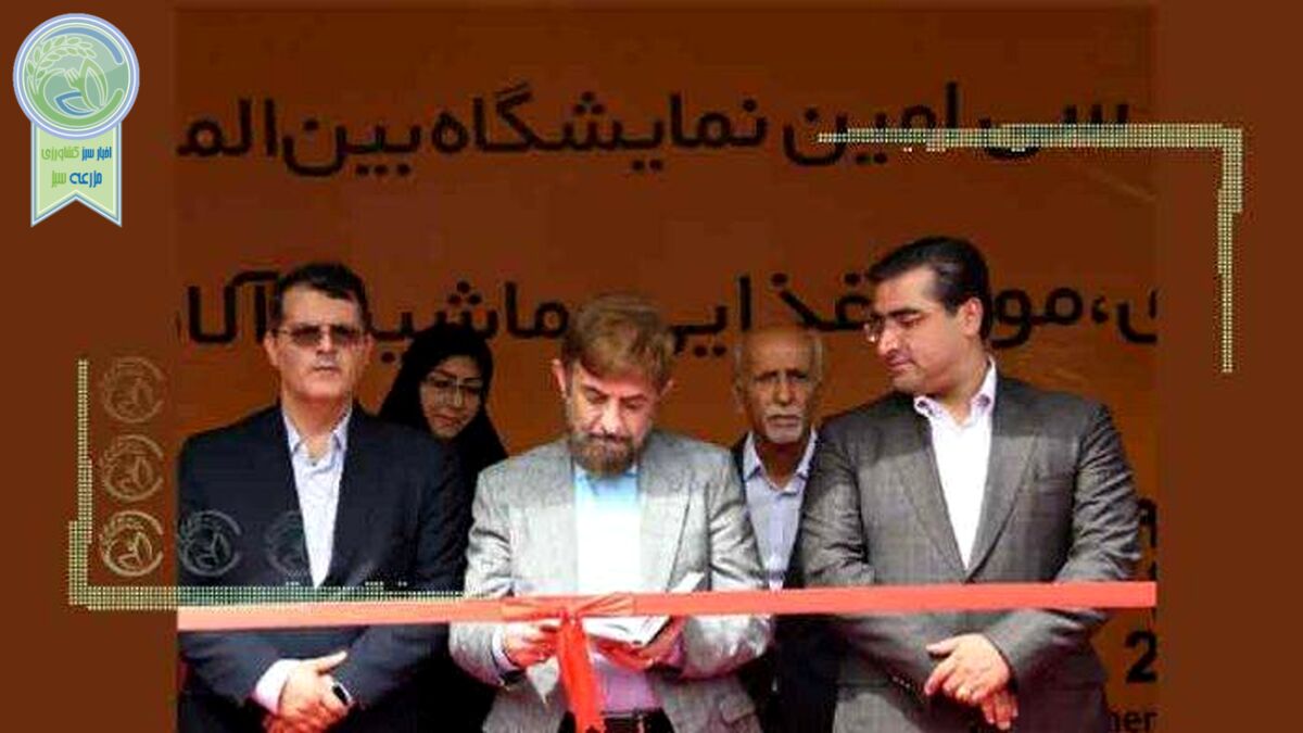 بی‌توجهی به صنعت غذا