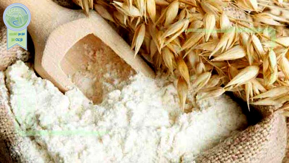 قیمت پایین گندم، آرد و نان را کمیاب کرد