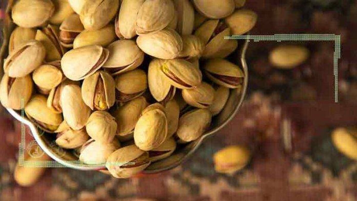 صادرات پسته ۵۰ درصد کاهش یافت!