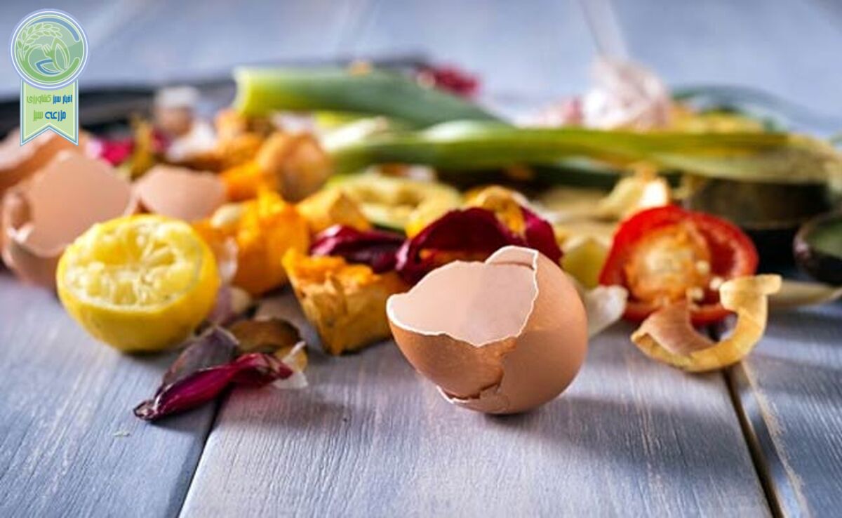 چگونه برای گیاهان خود کود خانگی بسازیم‌؟


