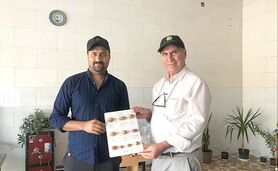 تولید گردوهای گرمسیری پکان توسط جوانان خلاق گلستانی+ ویدئو

