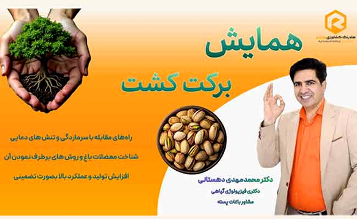 همایش «کشت برکت»؛ نسخه علمی برای افزایش عملکرد باغات پسته