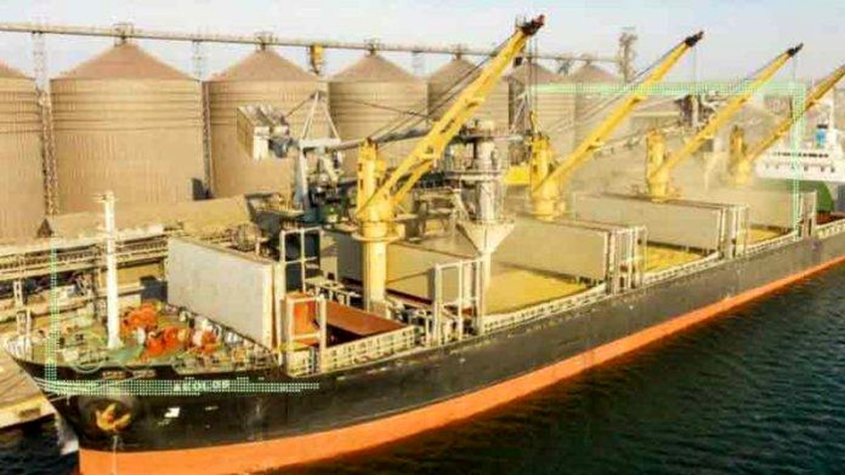  ۷ کشتی نهاده دامی منتظر حل مشکلات ارزی