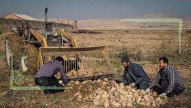 هر قدم دانه شِکَری می‌کاشت