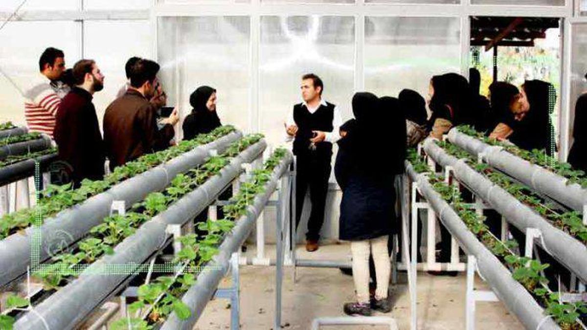 آفت بی‌ توجهی به کشاورزی در دانشگاه‌های ایران
