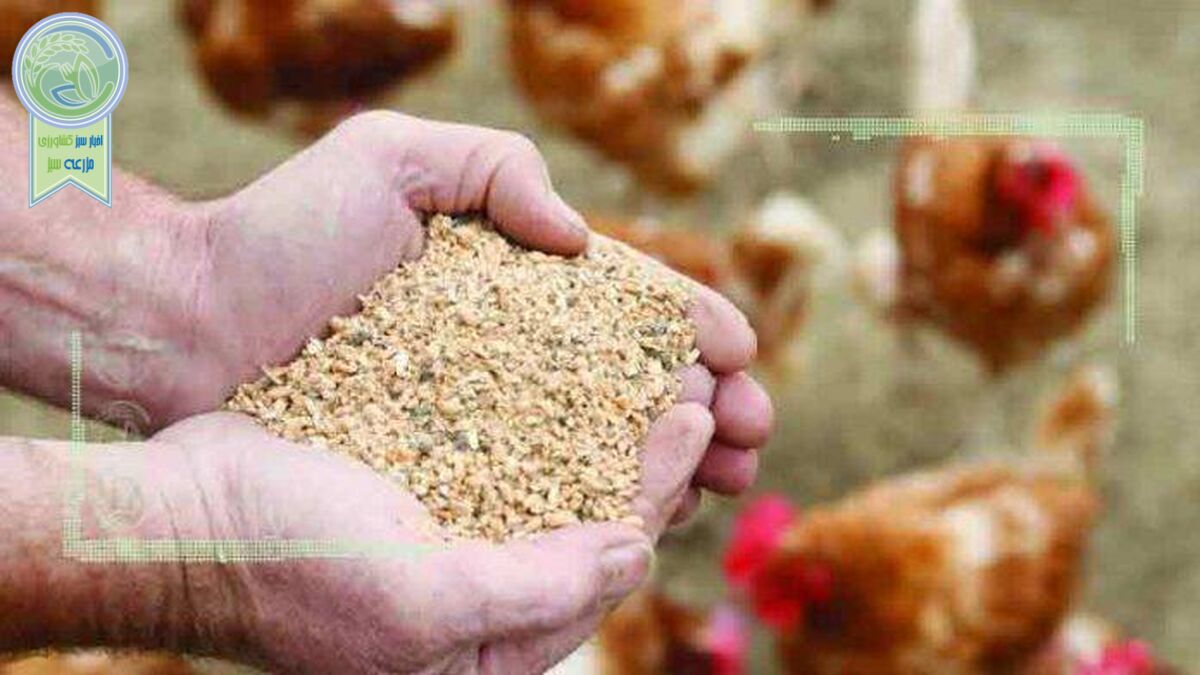 قیمت نهاده های دامی و محصولات کشاورزی ۹ مرداد ۱۴۰۲