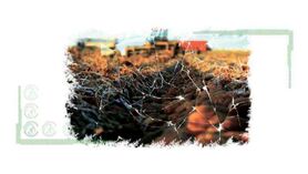 آسیب‌های کشاورزی صنعتی