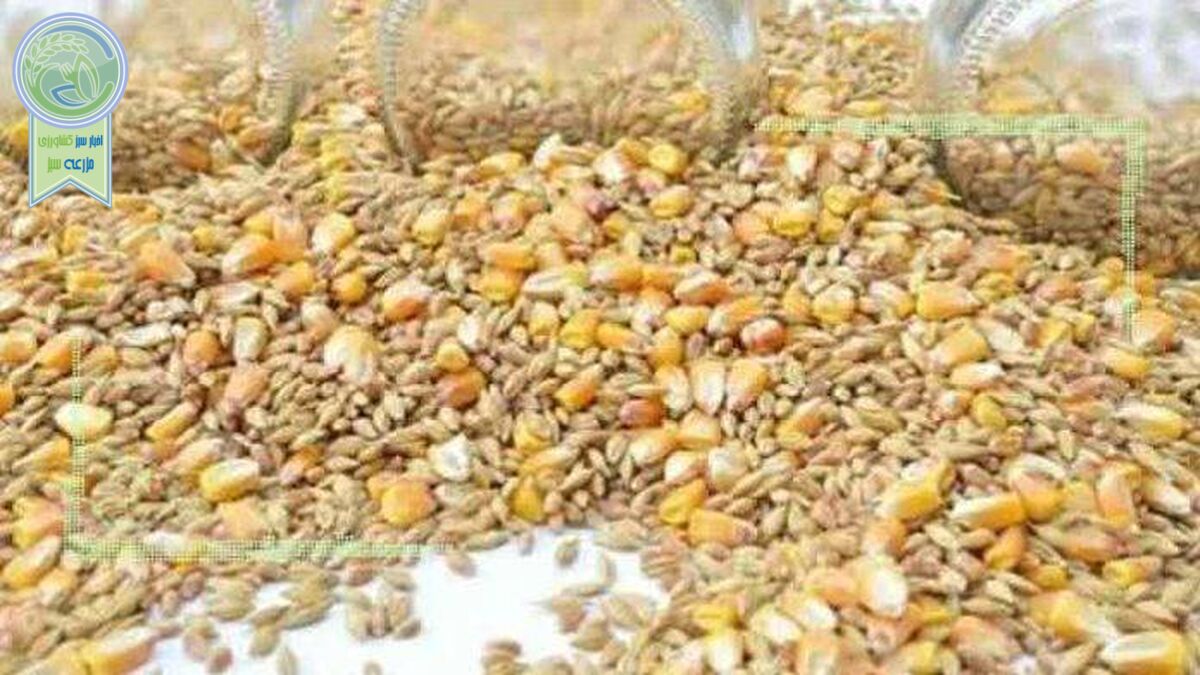 قیمت نهاده های دامی و محصولات کشاورزی ۱۹ مرداد ۱۴۰۲