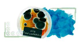 استراتژی مدیریت خطر مایکوتوکسین‌ها در غذای دام‌ها+اینفوگرافی