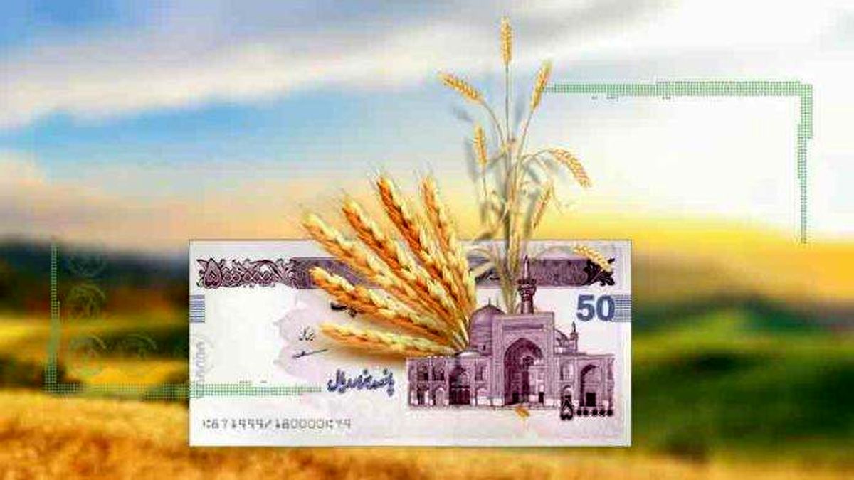 امروز قیمت گندم تعیین می‌شود