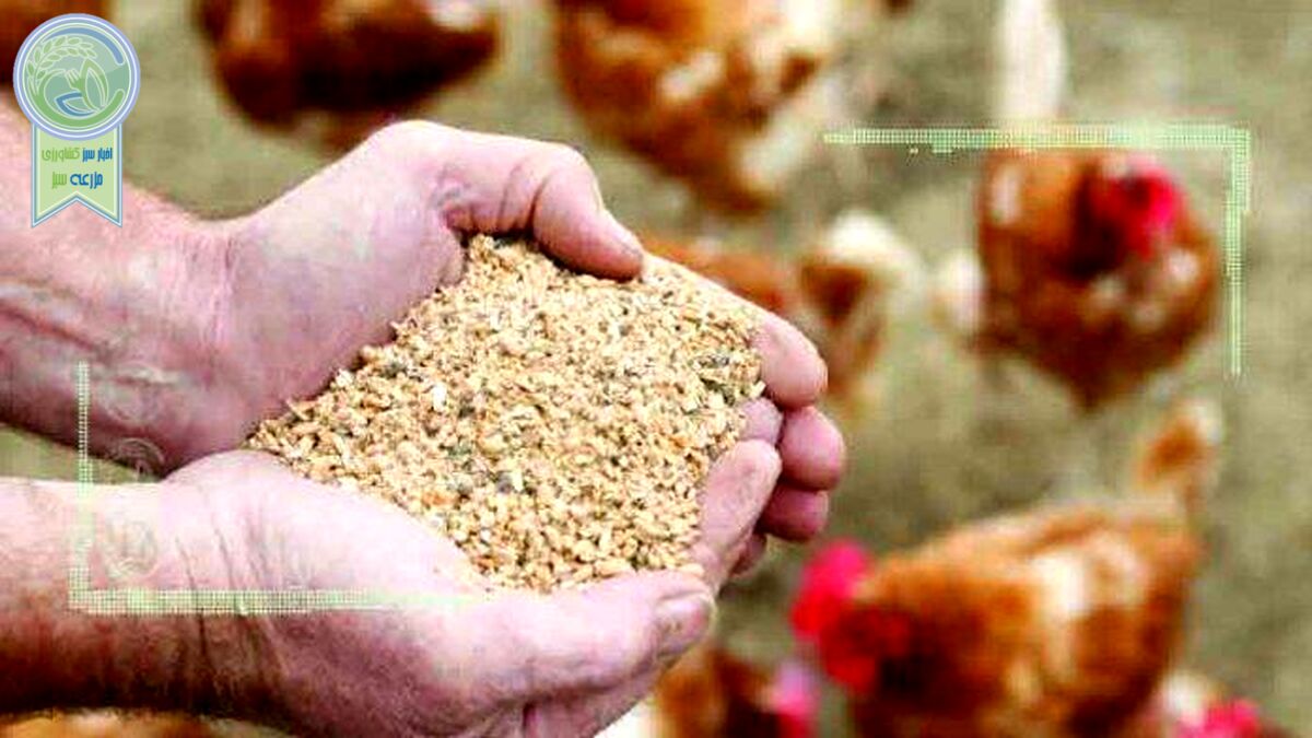 قیمت نهاده های دامی و کشاورزی ۲ شهریور ۱۴۰۲