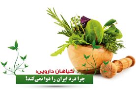 گیاهان دارویی چرا درد ایران را دوا نمی‌کند!

