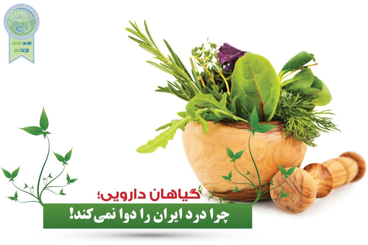 گیاهان دارویی چرا درد ایران را دوا نمی‌کند!

