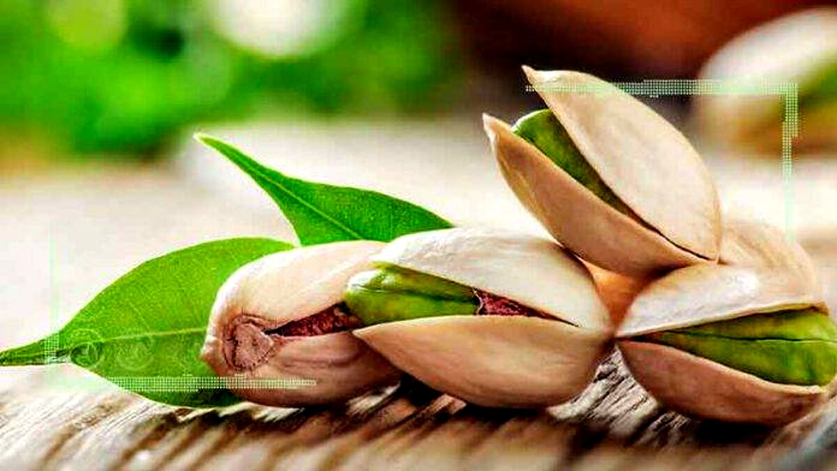 استان‌های برتر کشور در تولید پسته ۱۴۰۲+اینفوگراف