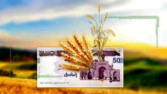 تعیین نرخ گندم در نشست روز آینده شورای قیمت گذاری
