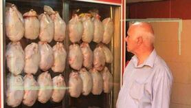 قیمت انواع مرغ در ۲۶ شهریور ۱۴۰۲