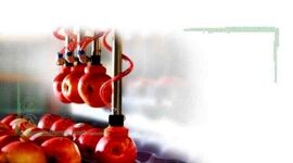 جای خالی سورتینگ محصولات کشاورزی