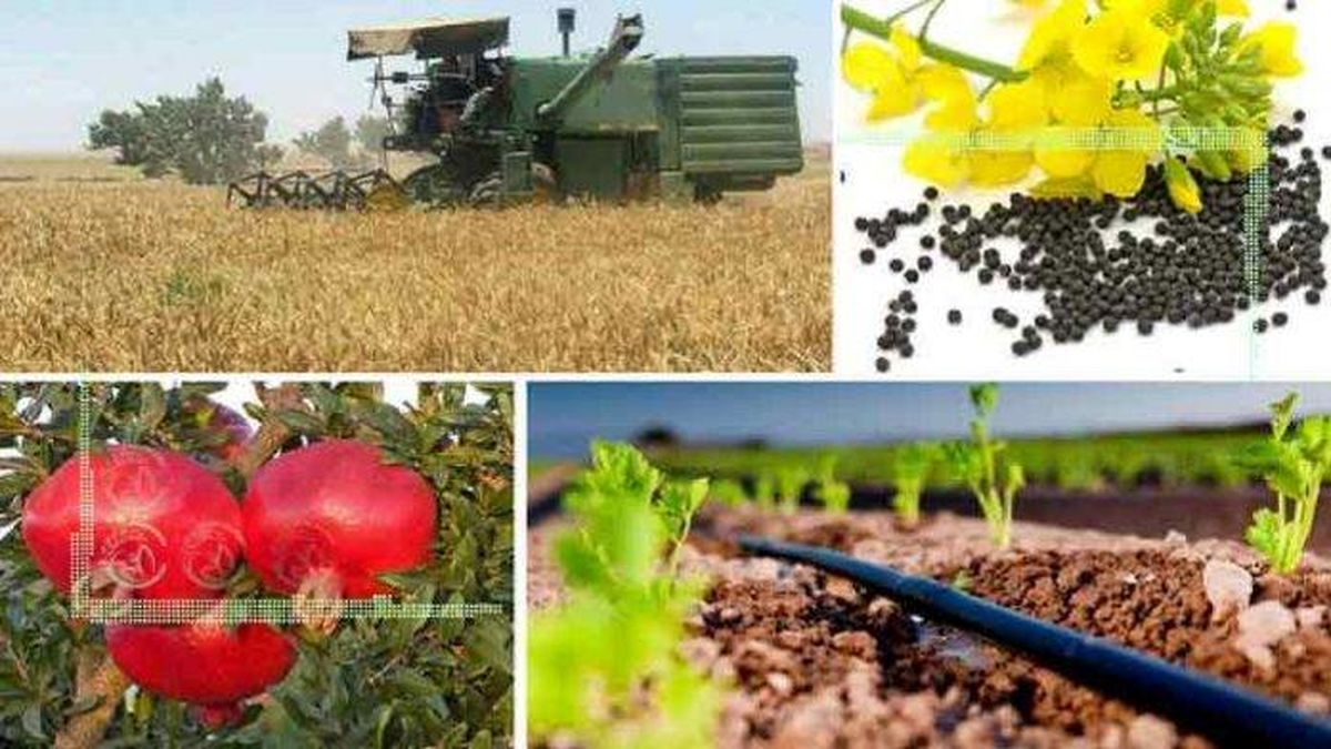 موانع تولید محصولات کشاورزی به روش استصناع