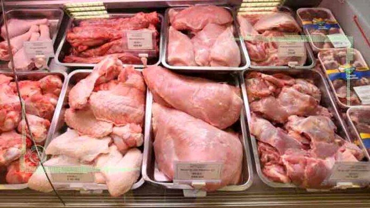 قیمت مرغ به پایین‌تر از نرخ مصوب رسید
