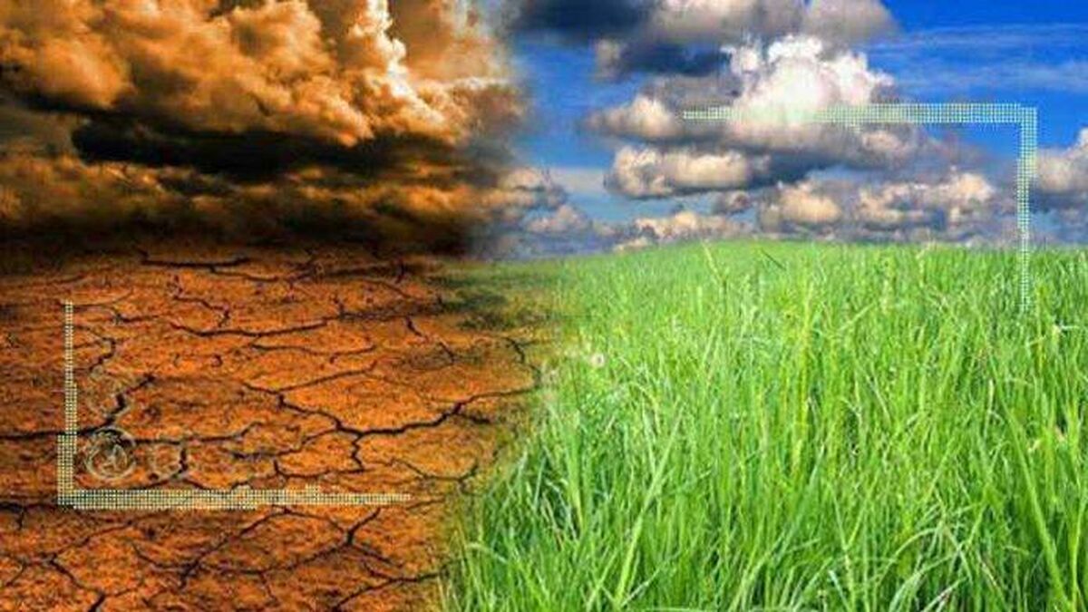 اجرای طرح کلان تغییر اقلیم با راهبری سازمان تات