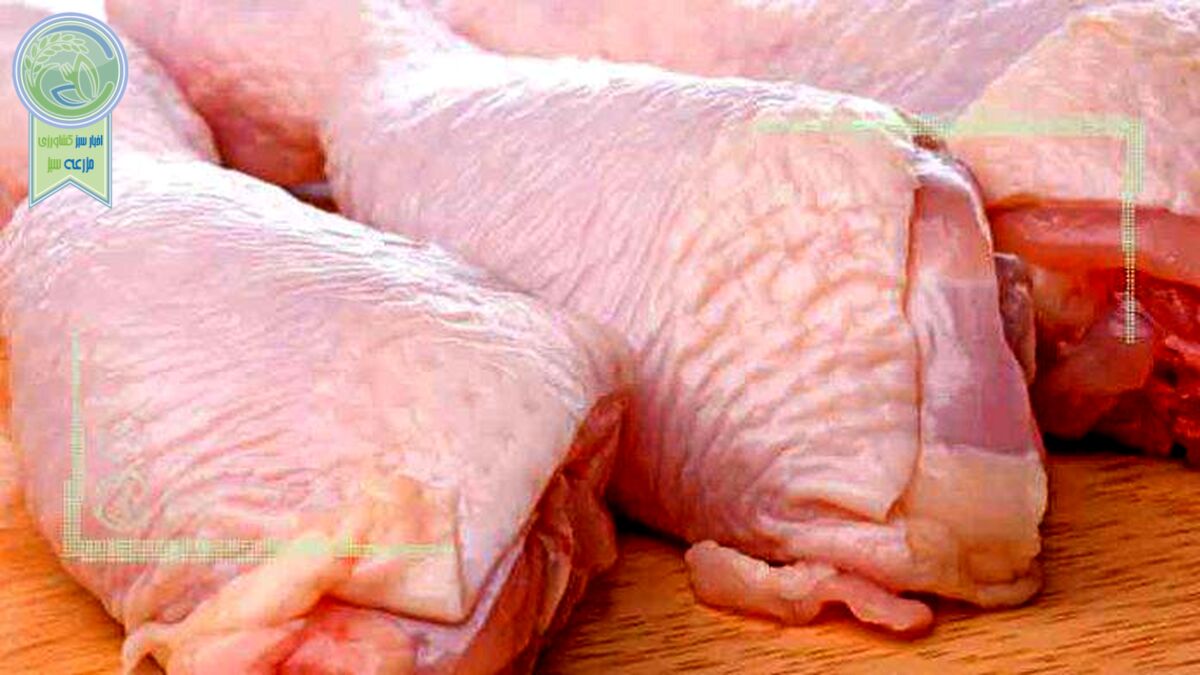 قیمت انواع مرغ در ۹ مهر ۱۴۰۲