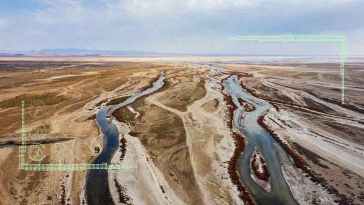 گاوخونی در یک قدمی فاجعه