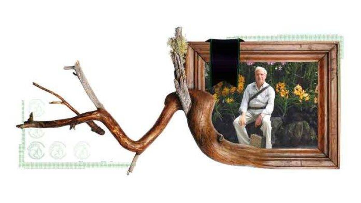کارآفرینانی که حیف و میل می‌شوند…!