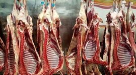 ۳۰ درصد واردات گوشت به گوشت گرم اختصاص دارد

