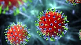 هشدار مهم درباره احتمال شیوع ۳ بیماری ویروسی از افغانستان به ایران

