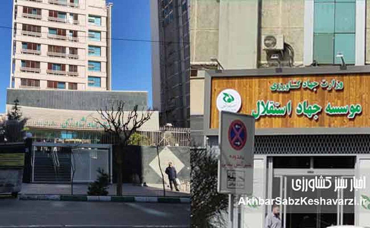 صدور حکم مسئول تأمین مالی برای محکوم قطعی پرونده اختلاس؛ نشانه‌ای نگران‌کننده از بی‌اعتنایی به اجرای احکام قضایی