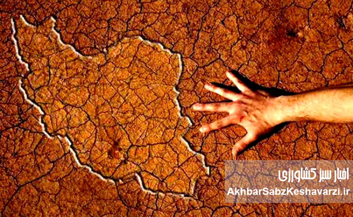 ورشکستگی آبی ایران؛ از اصلاح الگوی کشت تا مهار مصرف شهری
