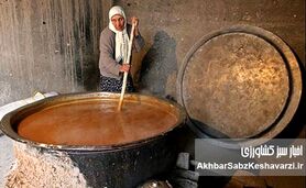 وقتی سمنوی ایران خاموش ماند؛ سمنوپزان تاجیکستان جهانی شد