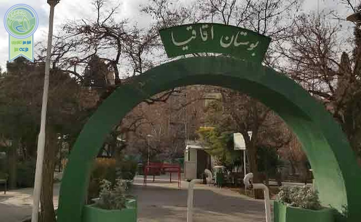 اعمال نفوذ برای قطع شبانه درختان

