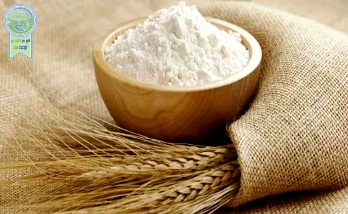بحران خاموش گندم در روز ملی نان: چرا سفره ایرانی کوچک می‌شود؟