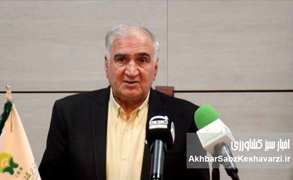 نقش کلیدی کشاورزی ارگانیک در مقابله با تغییرات اقلیمی؛ راهبردی برای آینده سبز 