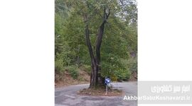 درسِ احترام به طبیعت در آلانیای ترکیه؛ الگویی برای گرگان و گلستان

